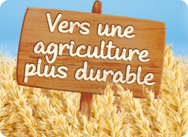 Nestlé Stage 2, céréales pour bébé de blé et Algeria
