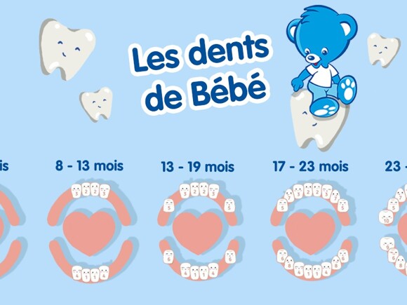 Le développement des dents de Bébé âge par âge